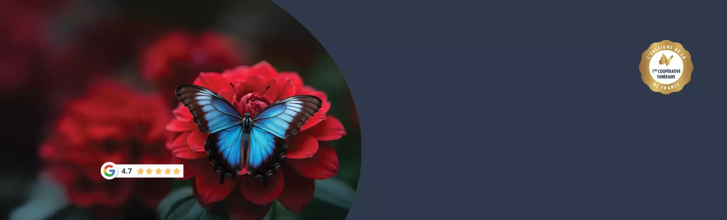 Une équipe à votre écoute