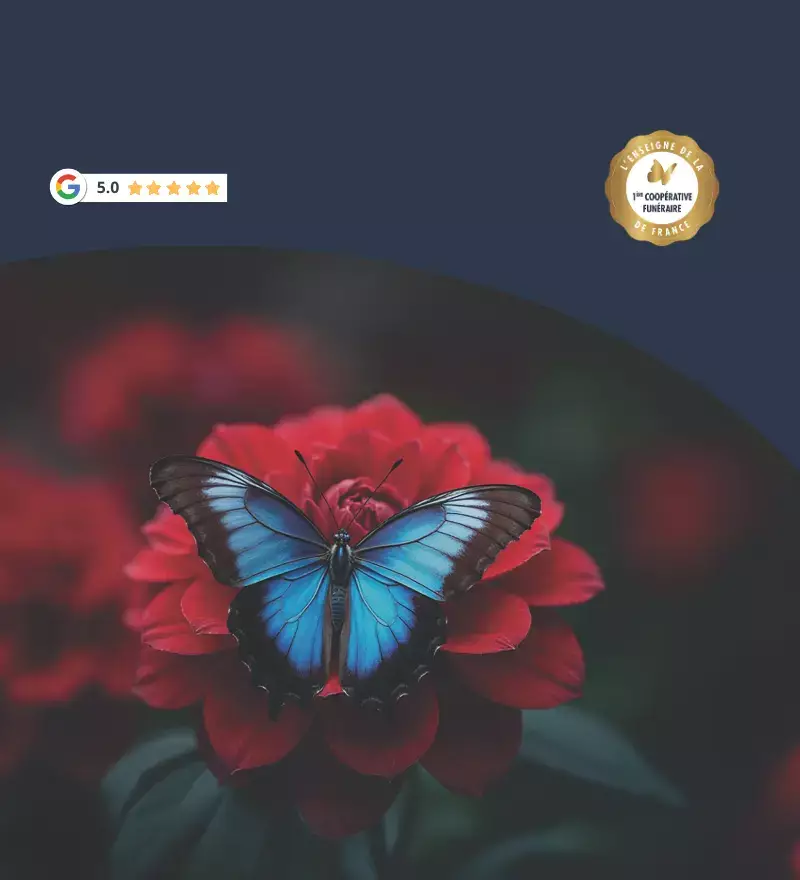 Une équipe à votre écoute